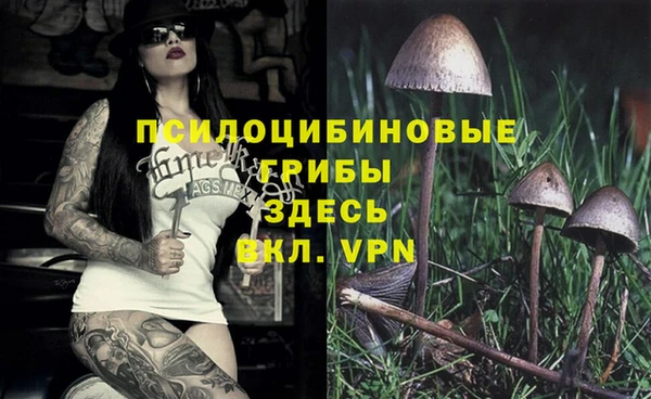 каннабис Карпинск
