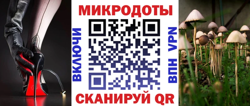 Псилоцибиновые грибы Cubensis  площадка какой сайт  Новошахтинск 