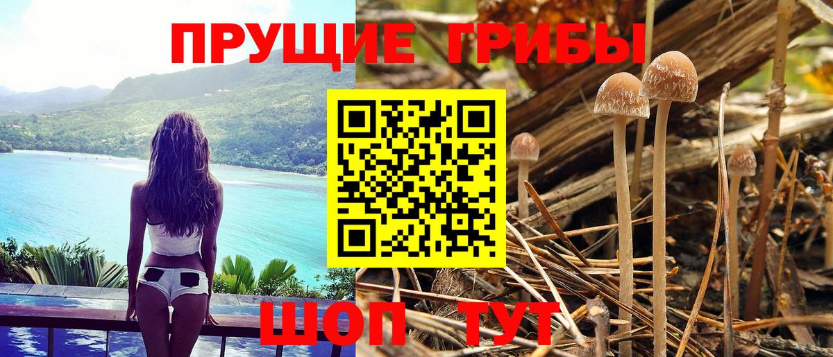 Галлюциногенные грибы MAGIC MUSHROOMS  Новошахтинск 