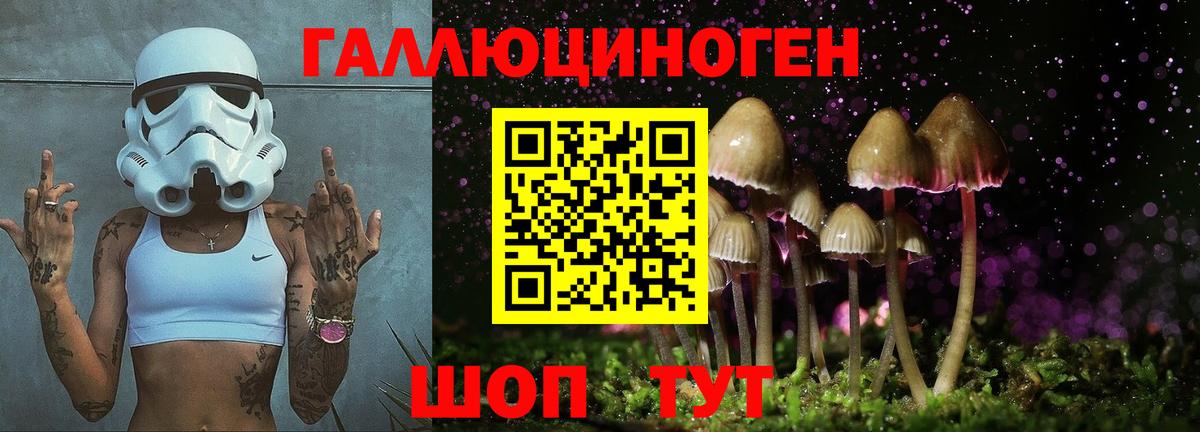 Галлюциногенные грибы ЛСД  Вход с VPN  купить наркоту  Новошахтинск 